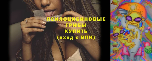ешки Верея
