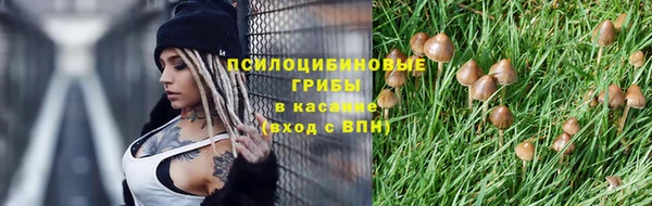 ешки Верея