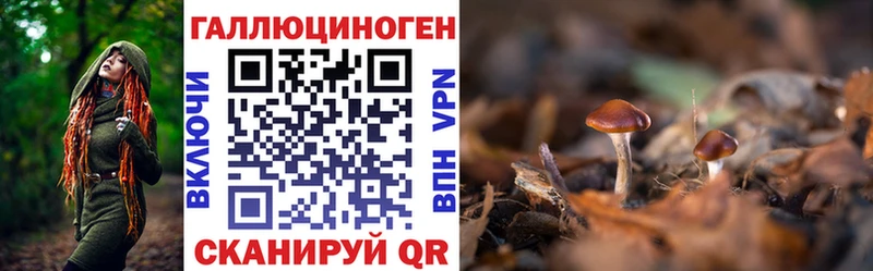 Псилоцибиновые грибы GOLDEN TEACHER Динская